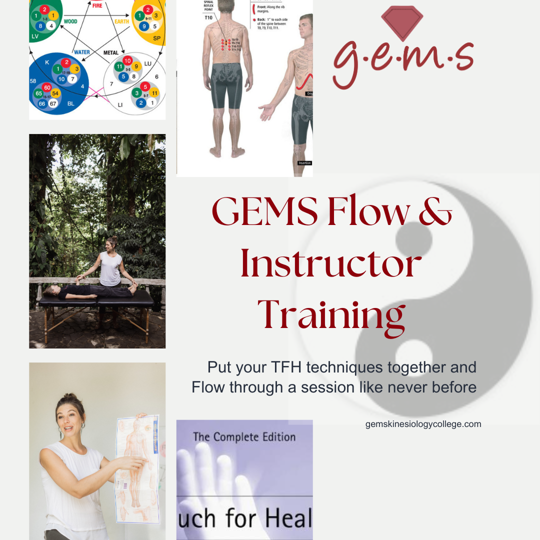 GEMS Flow & Instructor Training